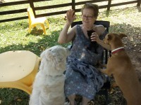 /album/fotogaleria-cuidador-de-perros/home-y-scooby-jpg/